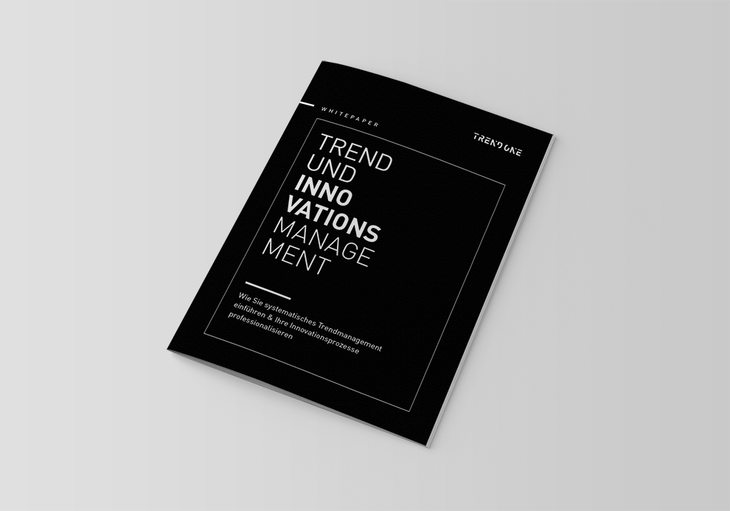 TRENDONE Whitepaper Trend- und Innovationsmanagement Keyvisual